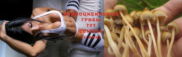мяу мяу мука Горнозаводск