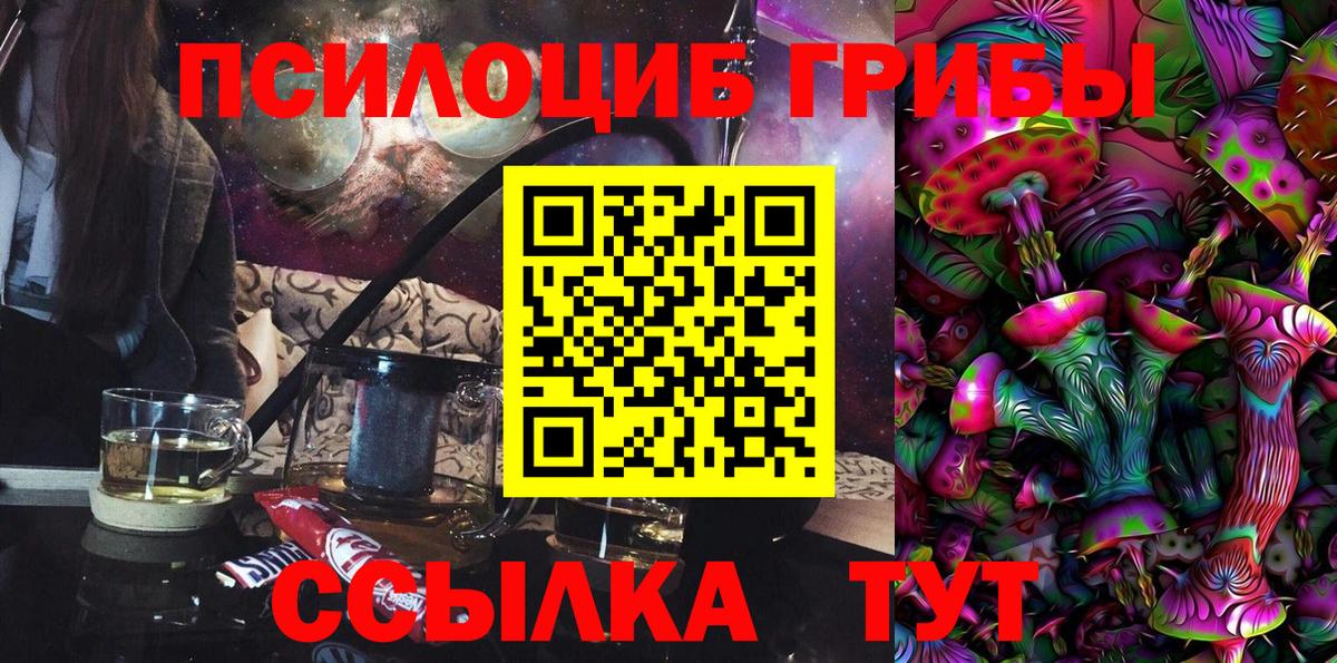 Псилоцибиновые грибы Psilocybe  Псилоцибиновые грибы Psilocybine cubensis  Междуреченск 