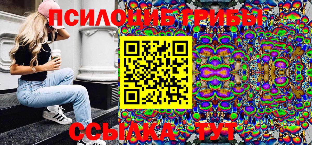 Псилоцибиновые грибы MAGIC MUSHROOMS Междуреченск