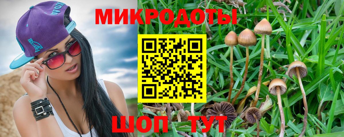 Междуреченск  Псилоцибиновые грибы мицелий  Вход с VPN  Галлюциногенные грибы прущие грибы 